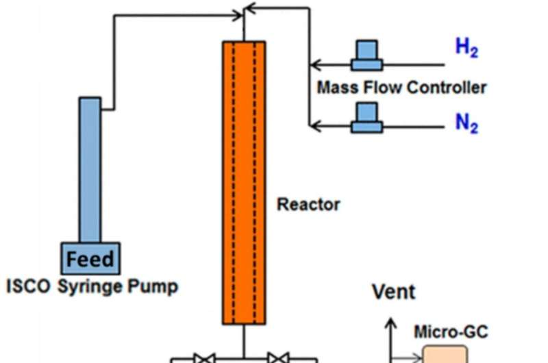 New continuous reaction process can help turn plant waste into sustainable aviation fuel