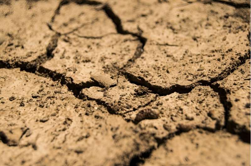 Scientists develop AI models able to predict future drought conditions with high accuracy