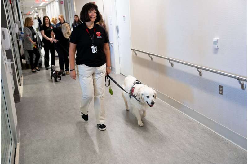 Study shows therapy dog program works as needed mood-booster for health care workers