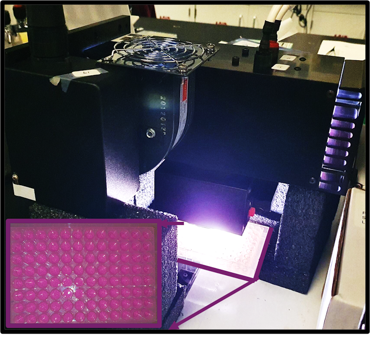 A cube-shaped metal machine with a chamber filled with bright light, and a plate of tubes shown going under the light.