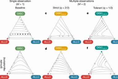 A method of 'look twice, forgive once' can sustain social cooperation