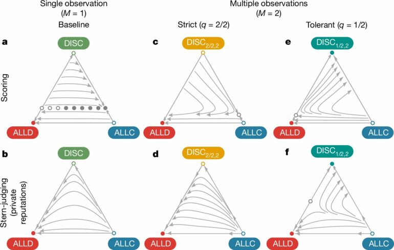 A method of 'look twice, forgive once' can sustain social cooperation