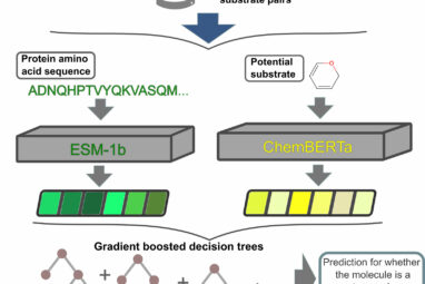 A new AI model can predict substrate movement into and out of cells