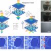 Multispectral smart window: A step toward healthier indoor ...