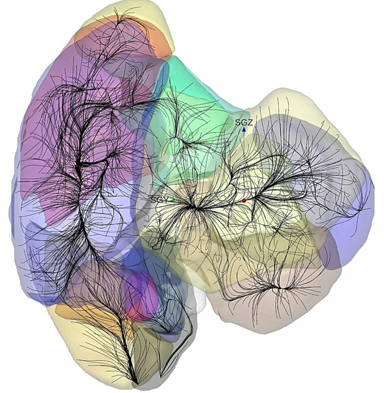 Advanced data shed light on gravitational basins of attraction ...