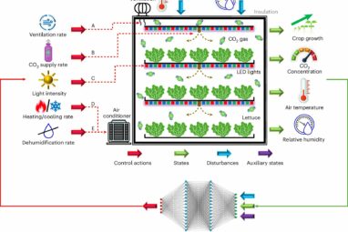 AI boosts indoor food production's energy sustainability