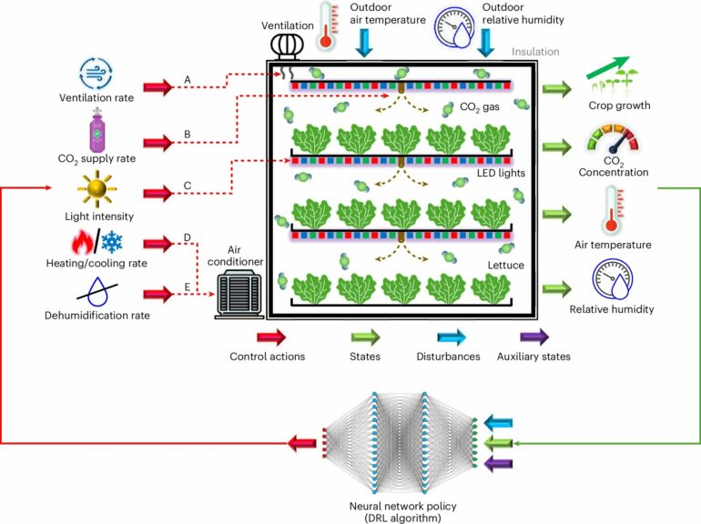 AI boosts indoor food production's energy sustainability