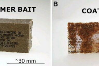 Airdropping vaccines to eliminate canine rabies in Texas – two ...