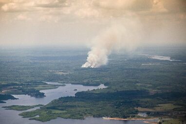 Amazon rainforest fires produce secondary ultrafine particles that ...