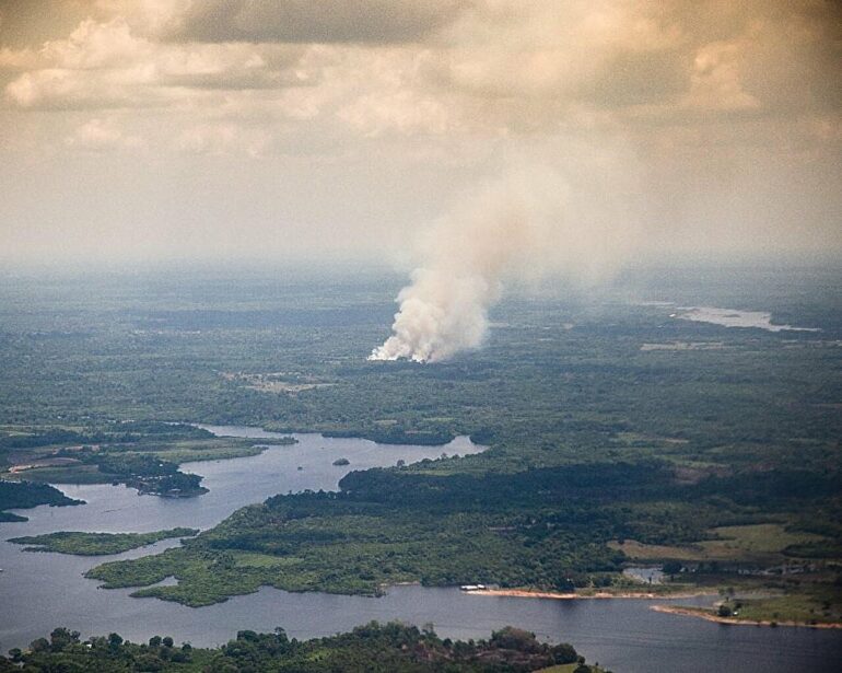 Amazon rainforest fires produce secondary ultrafine particles that ...