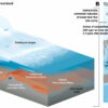 Atmospheric blocking slows ocean-driven melting of Greenland's ...