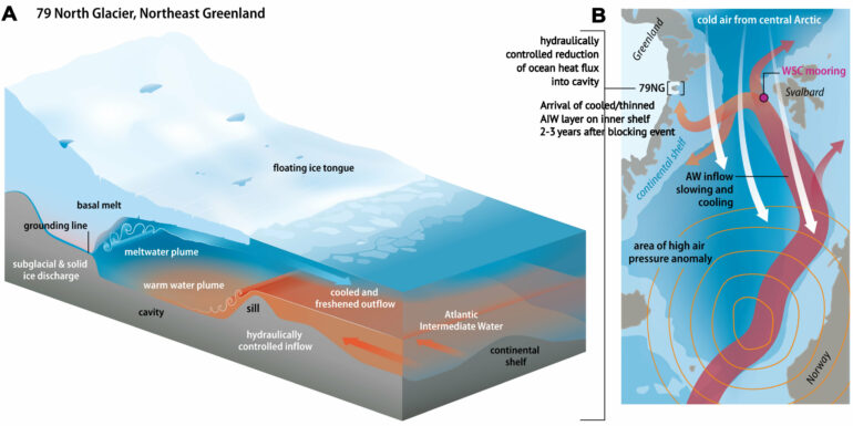 Atmospheric blocking slows ocean-driven melting of Greenland's ...