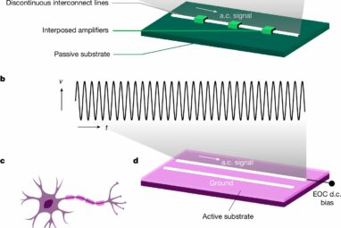 Axon-mimicking materials show promise for more efficient computing