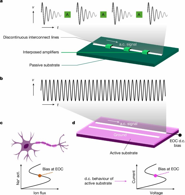 Axon-mimicking materials show promise for more efficient computing