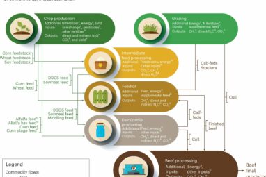 Beef industry can reduce emissions by up to 30%, says new research