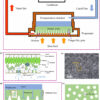 Bio-inspired wick enhances electronic chip cooling