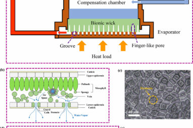 Bio-inspired wick enhances electronic chip cooling