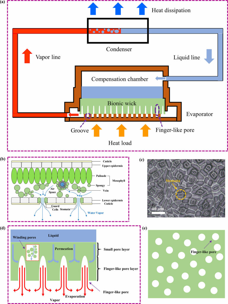 Bio-inspired wick enhances electronic chip cooling