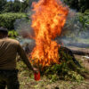 Central America could play troubling new role in cocaine trade ...