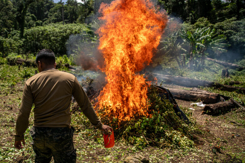 Central America could play troubling new role in cocaine trade ...