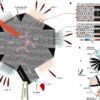 Chip that steers terahertz beams sets stage for ultrafast internet ...