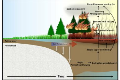 Climate models predict abrupt intensification of northern ...