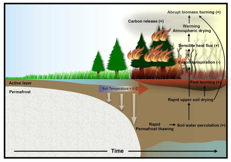 Climate models predict abrupt intensification of northern ...