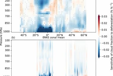 Cloud cover reduced by large-scale deforestation, researchers find