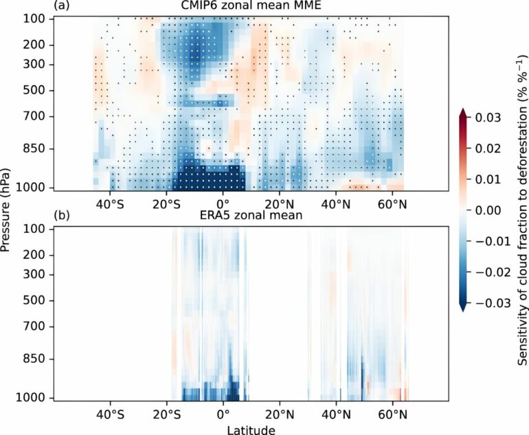 Cloud cover reduced by large-scale deforestation, researchers find