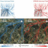 Comprehensive model uses airborne LiDAR data to predict walking ...