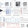 Computing scheme accelerates machine learning while improving ...