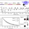 Controlling light while measuring trapped ion qubits