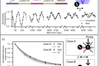 Controlling light while measuring trapped ion qubits