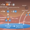 Detailed model suggests organic matter on Mars was formed from ...