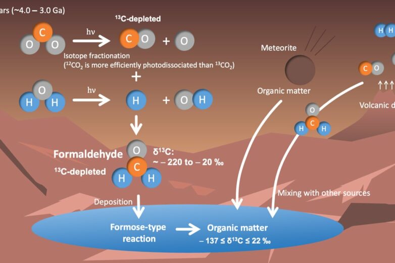 Detailed model suggests organic matter on Mars was formed from ...