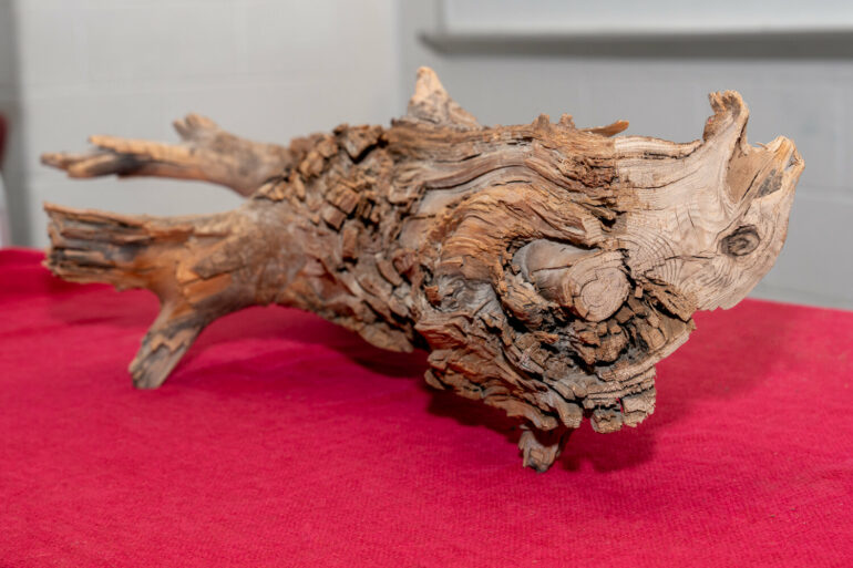 Discovery of 3,775-year-old preserved log supports 'wood vaulting ...