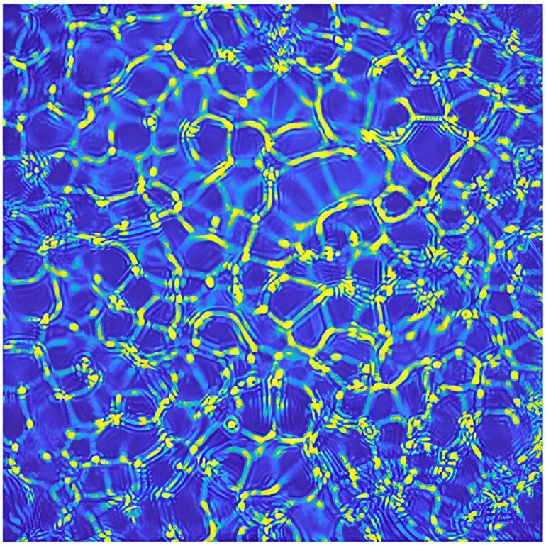 Discovery of a new convective instability in complex fluids, 140 ...