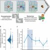 Early exposure to diverse faces helps babies overcome prejudices ...