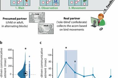 Early exposure to diverse faces helps babies overcome prejudices ...