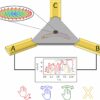 Energy-saving computing with magnetic whirls