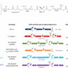 Enhancing microbe memory to better upcycle excess CO₂