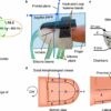 Fingertip device enables realistic touch for a wide range of ...