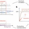 Fluctuating hydrodynamics theory could describe chaotic many-body ...