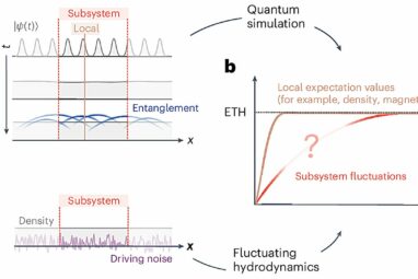 Fluctuating hydrodynamics theory could describe chaotic many-body ...