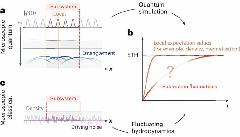 Fluctuating hydrodynamics theory could describe chaotic many-body ...