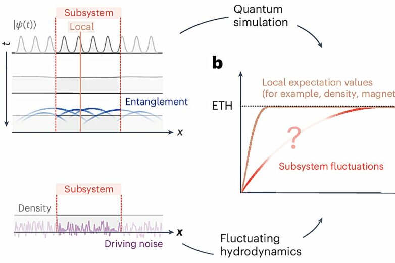 Fluctuating hydrodynamics theory could describe chaotic many-body ...