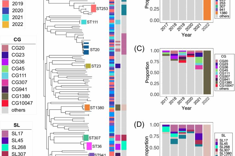 Genome sequence analysis identifies new driver of antimicrobial ...