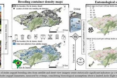 Geoinformatics: Using AI to take better aim against mosquitoes