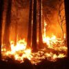 Global warming has brought more frequent, bigger and fiercer fires ...