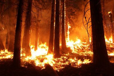 Global warming has brought more frequent, bigger and fiercer fires ...